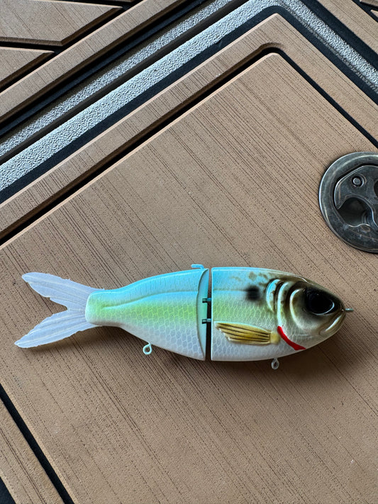 The Dutchman (Sexy Shad)